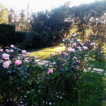 Rose Garden Agios Ioannis (Corfu)